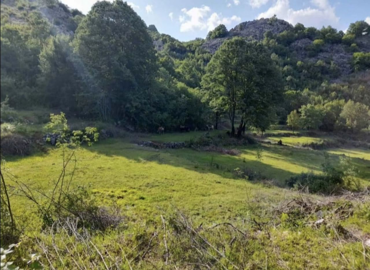 Terrain à Cetinje, Monténégro, 30 604 m² - image 1