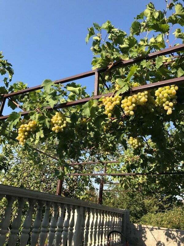 Casa a Becici, Montenegro, 244 m² - foto 2