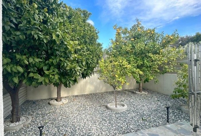 Bungalow en Pafos, Chipre, 180 m² - imagen 13