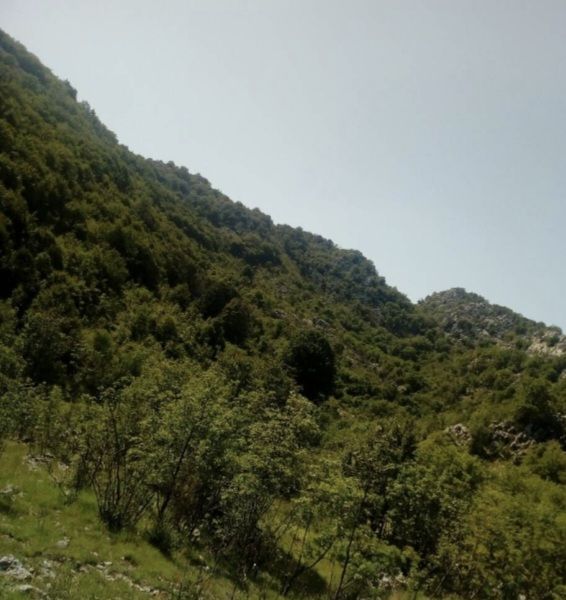 Grundstück in Cetinje, Montenegro, 76 632 m² - Foto 1