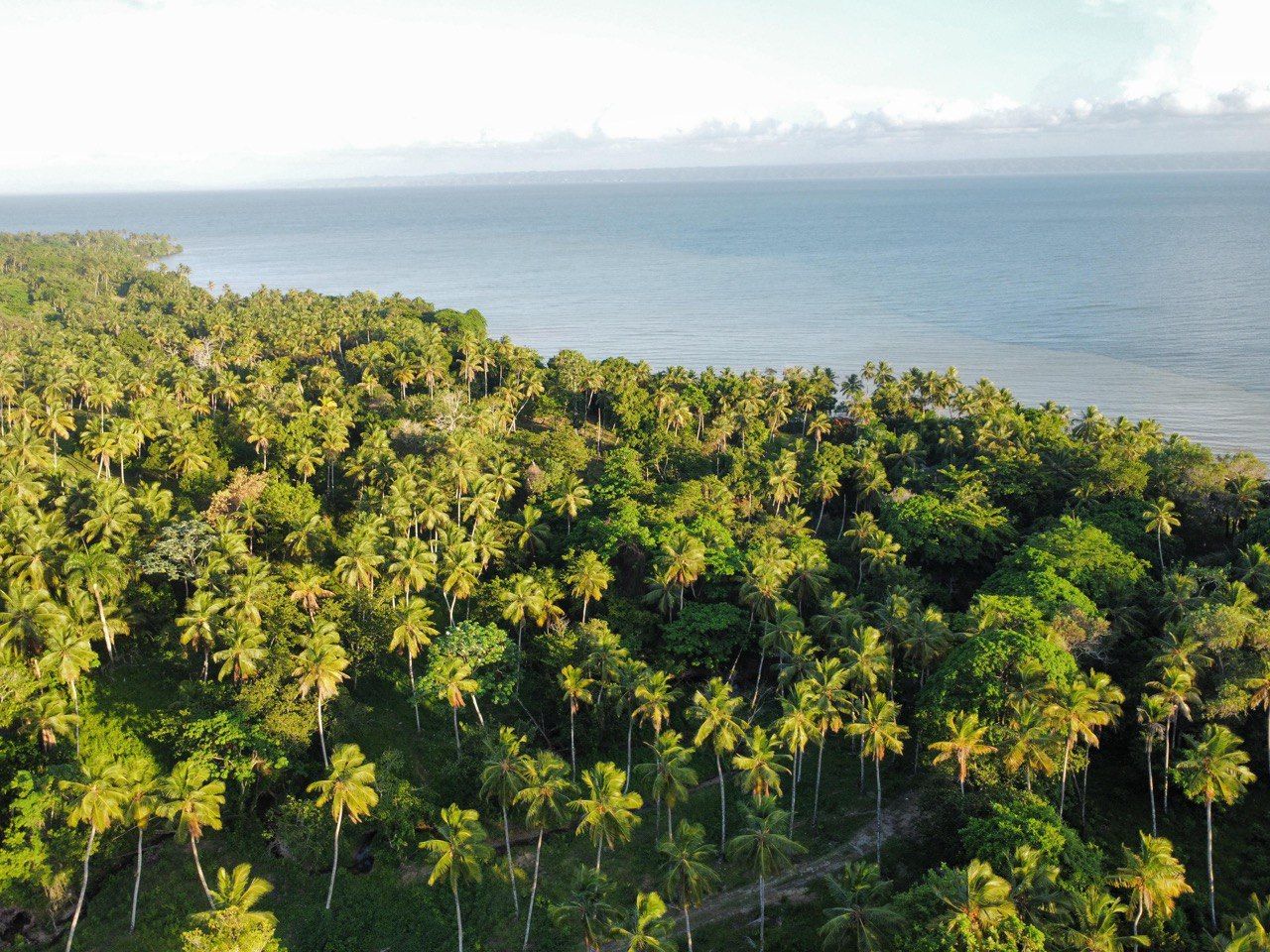 Terrain à Samaná, République dominicaine, 290 m² - image 7