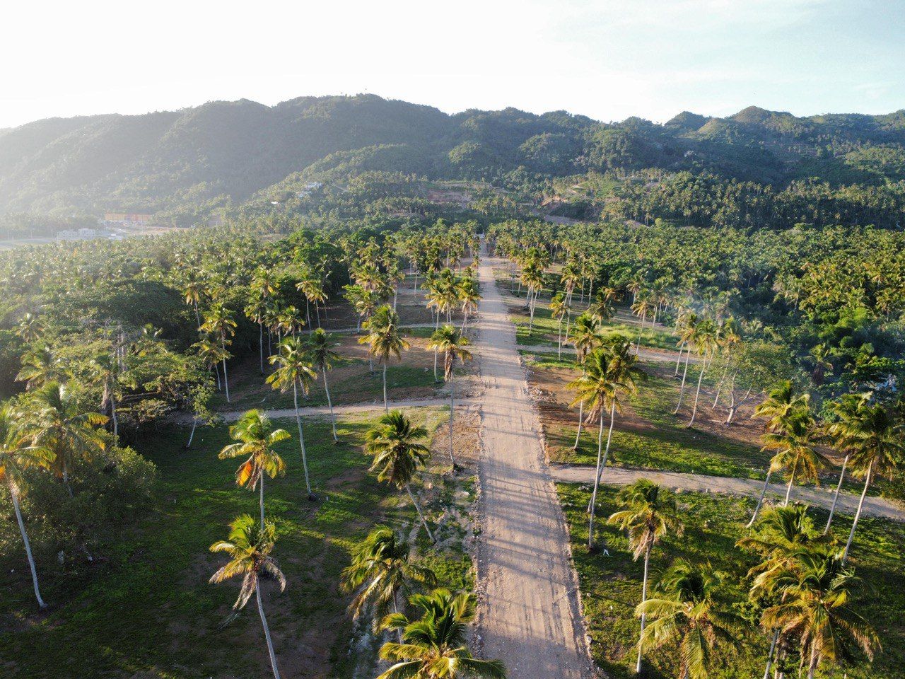 Terrain à Samaná, République dominicaine, 290 m² - image 8