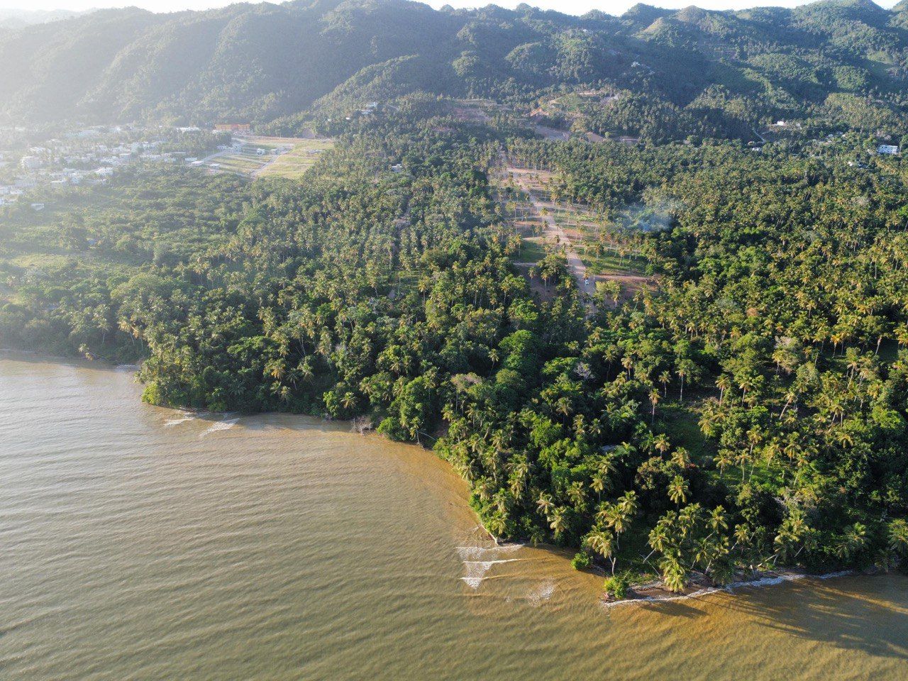 Terrain à Samaná, République dominicaine, 290 m² - image 15