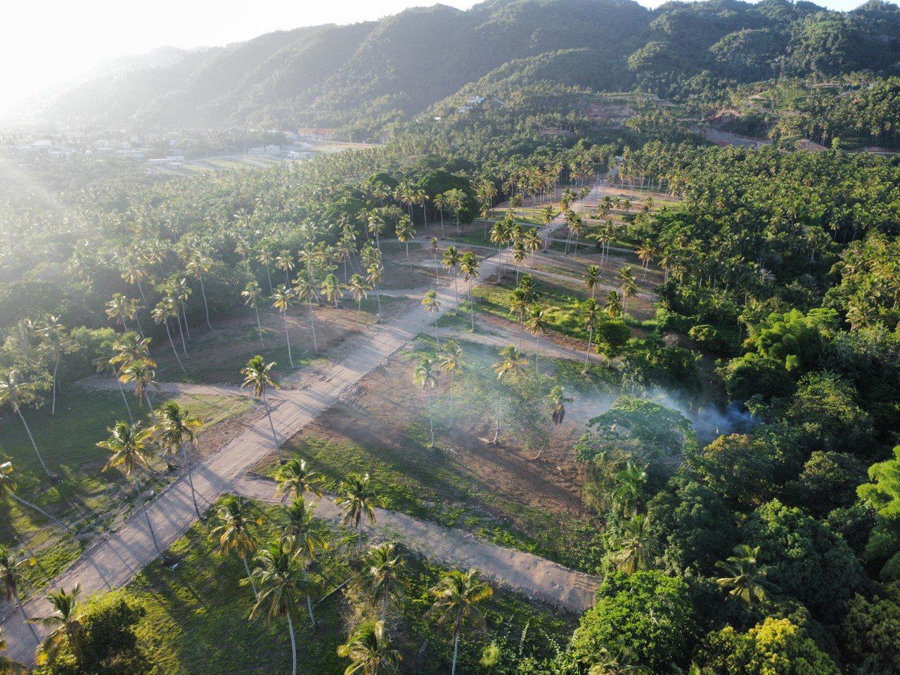 Terrain à Samaná, République dominicaine, 290 m² - image 14