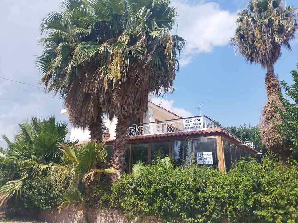 House in Athens, Greece, 249 m² - picture 10