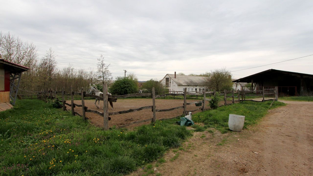 Propiedad comercial en Hévíz, Hungría, 2 000 m² - imagen 11