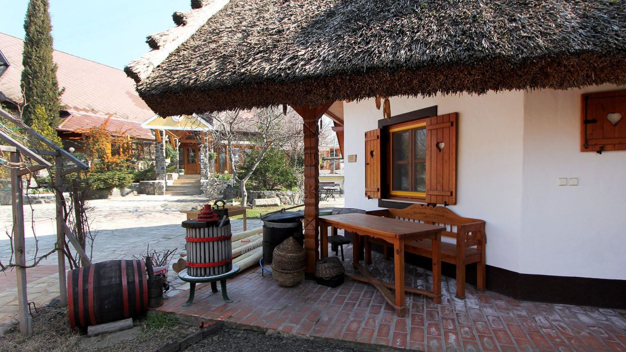 Hotel in Gyenesdias, Hungary, 880 m² - picture 12