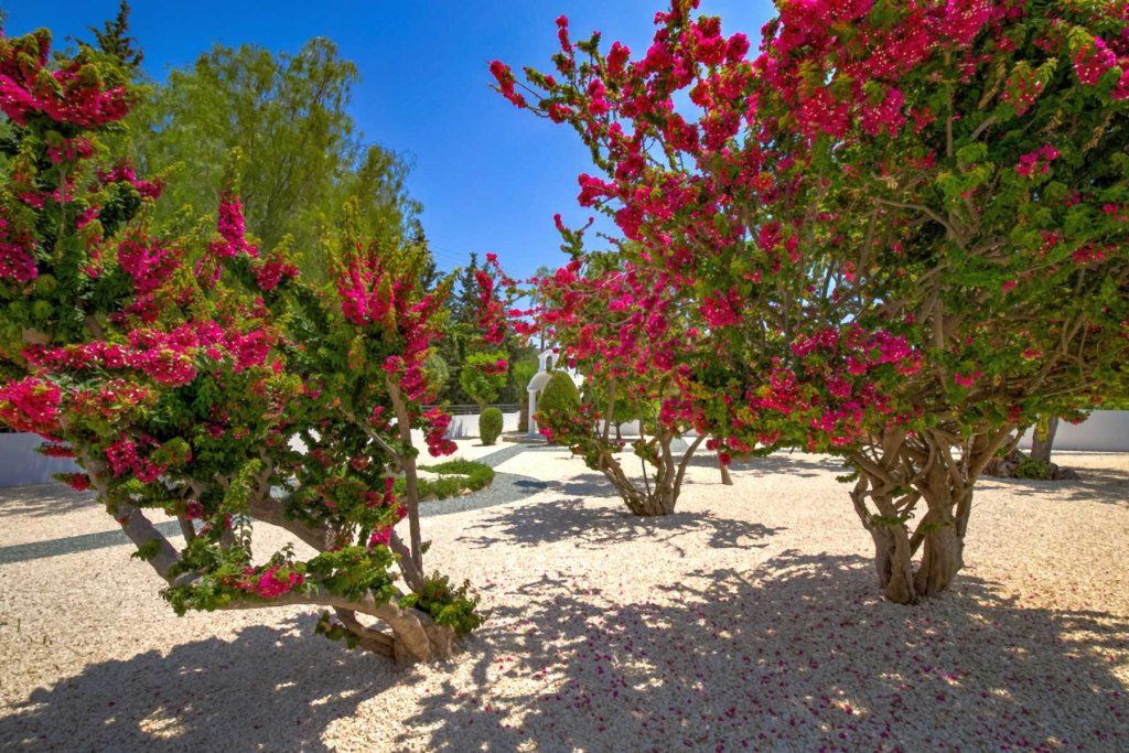 Wohnung in Paphos, Zypern, 348 m² - Foto 10