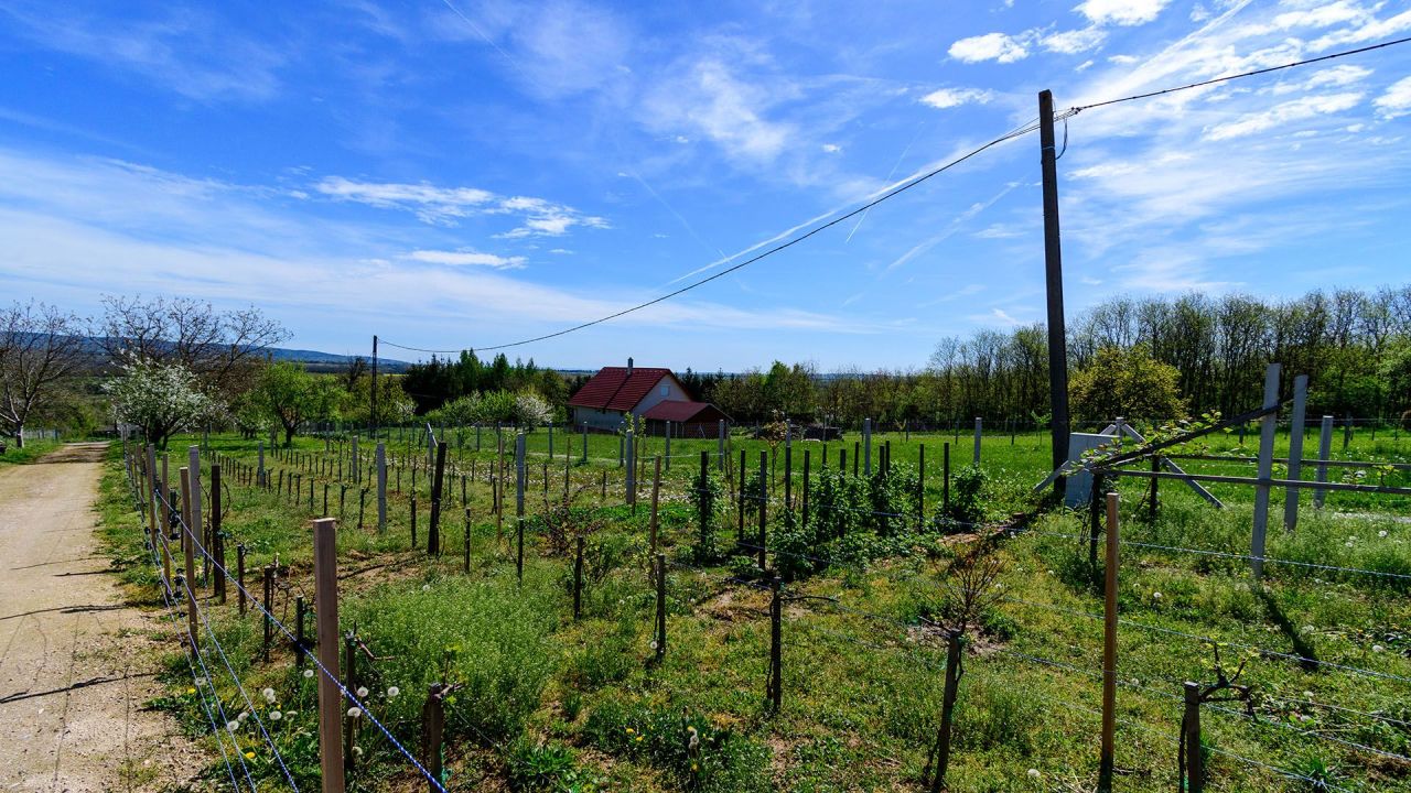 Haus in Hévíz, Ungarn, 152 m² - Foto 3