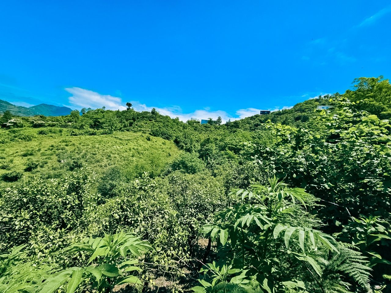 Terreno a Batumi, Georgia, 2 800 m2 - foto 2