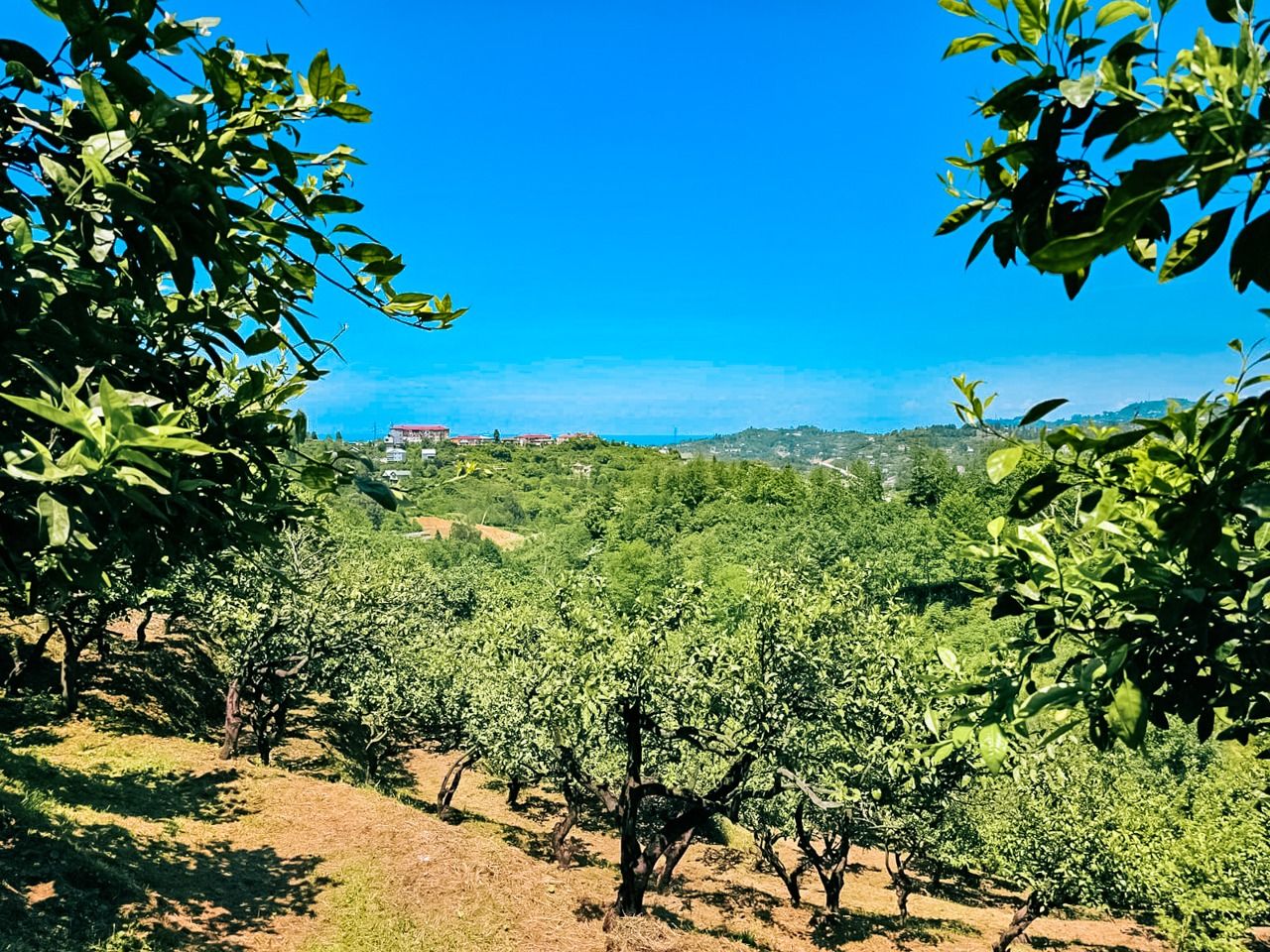 Terreno a Batumi, Georgia, 2 800 m2 - foto 6