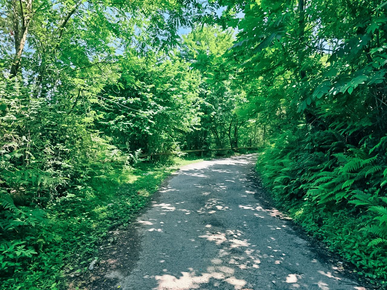 Terreno a Batumi, Georgia, 2 800 m2 - foto 9