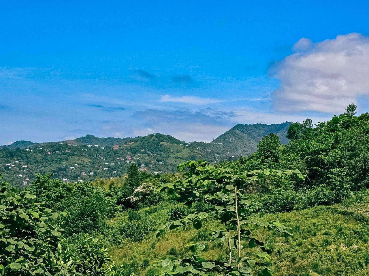 Terreno a Batumi, Georgia, 2 800 m2 - foto 11