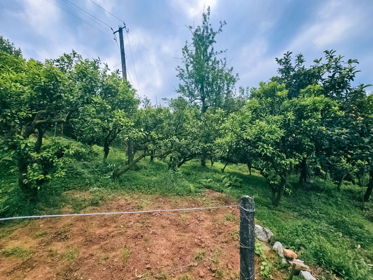 Terreno a Batumi, Georgia, 4 195 m2 - foto 3
