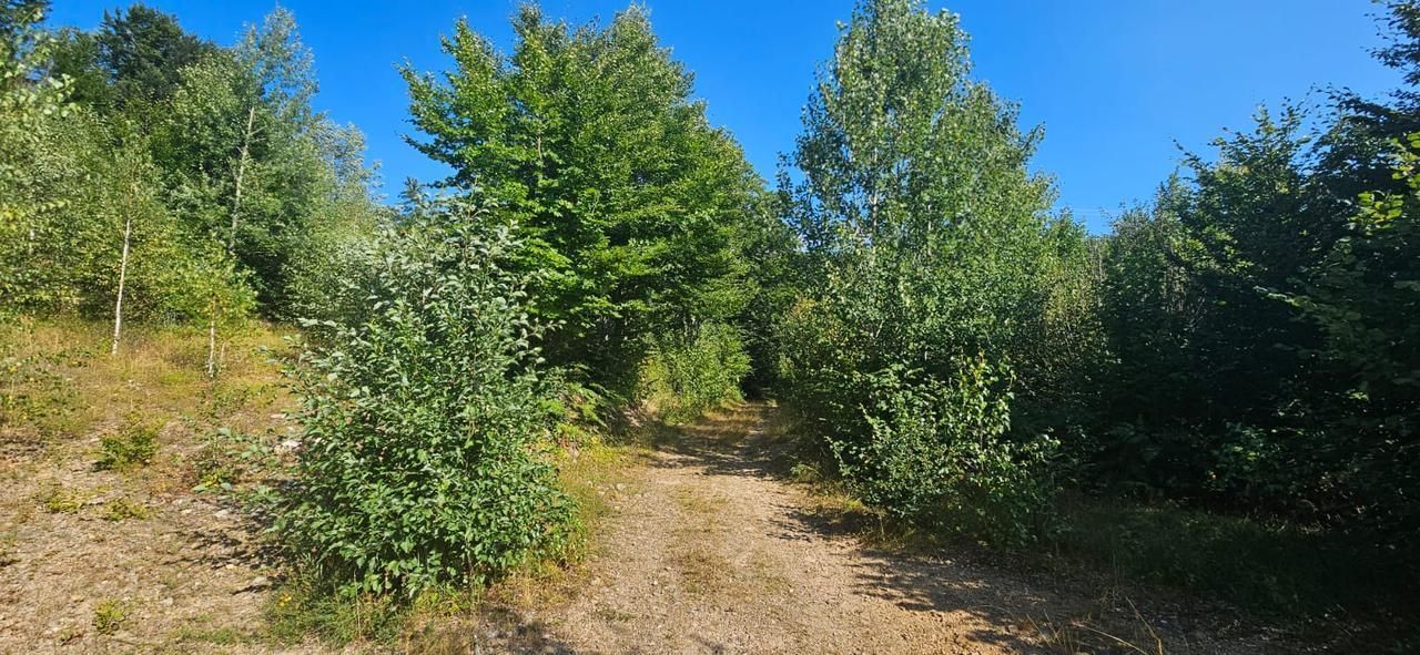 Terrain à Kolasin, Monténégro, 6 154 m² - image 1