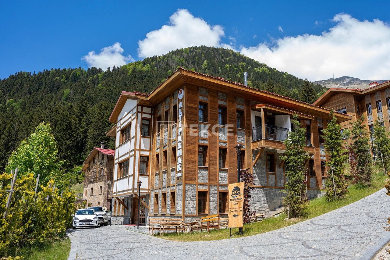 Hotel Çamlıhemşin, Turquia, 413 m² - imagen 1