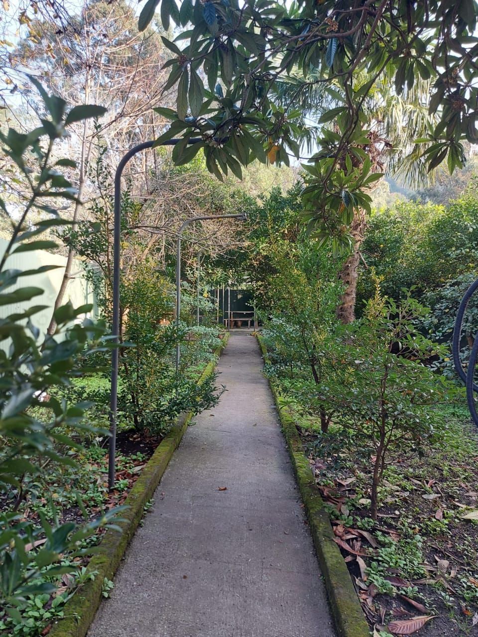 Haus in Batumi, Georgien, 300 m² - Foto 12