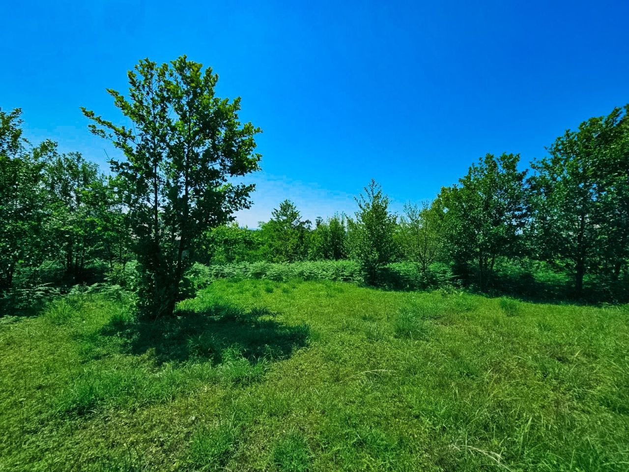 Terreno a Batumi, Georgia, 5 500 m2 - foto 3