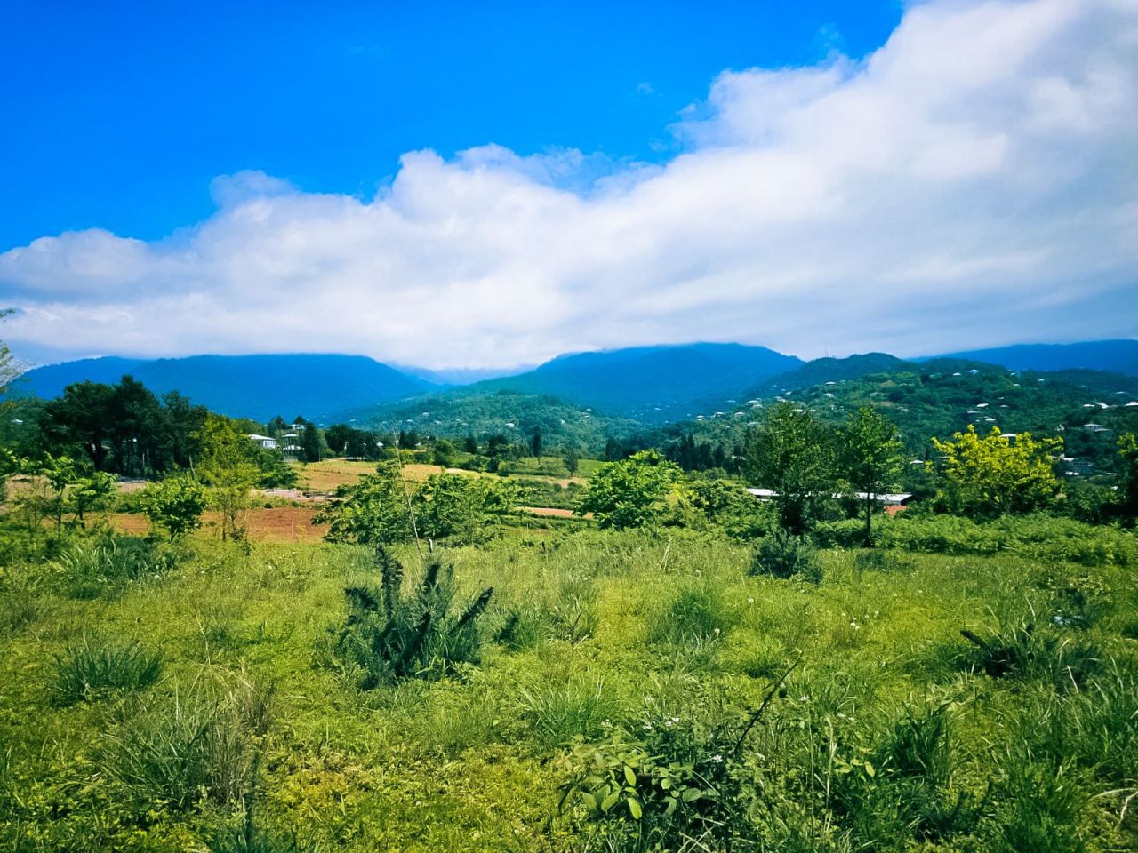 Terreno a Batumi, Georgia, 5 500 m2 - foto 6