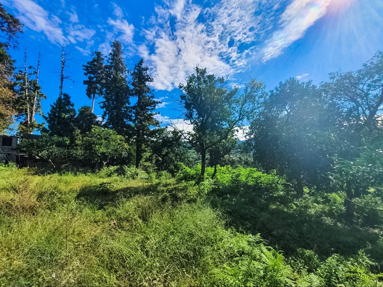 Terrain à Batoumi, Géorgie, 1 366 m² - image 2