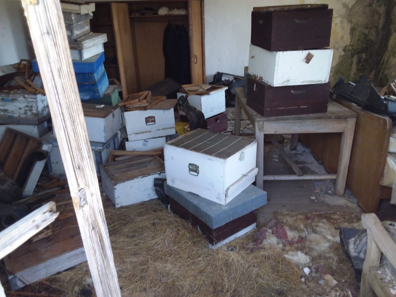 Haus in Niksic, Montenegro, 78 m² - Foto 9