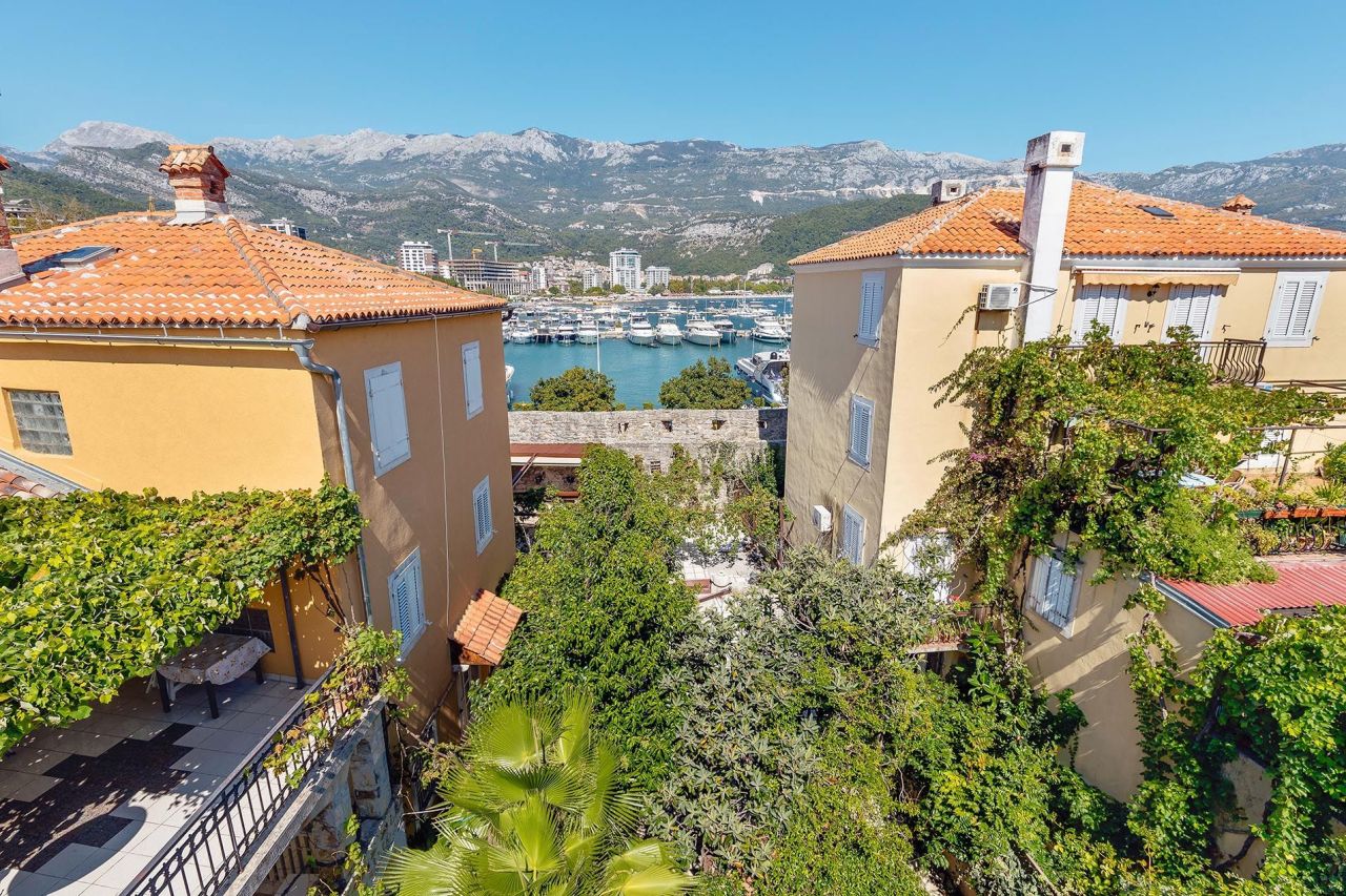 Commercial property in Budva, Montenegro, 268 m² - picture 8