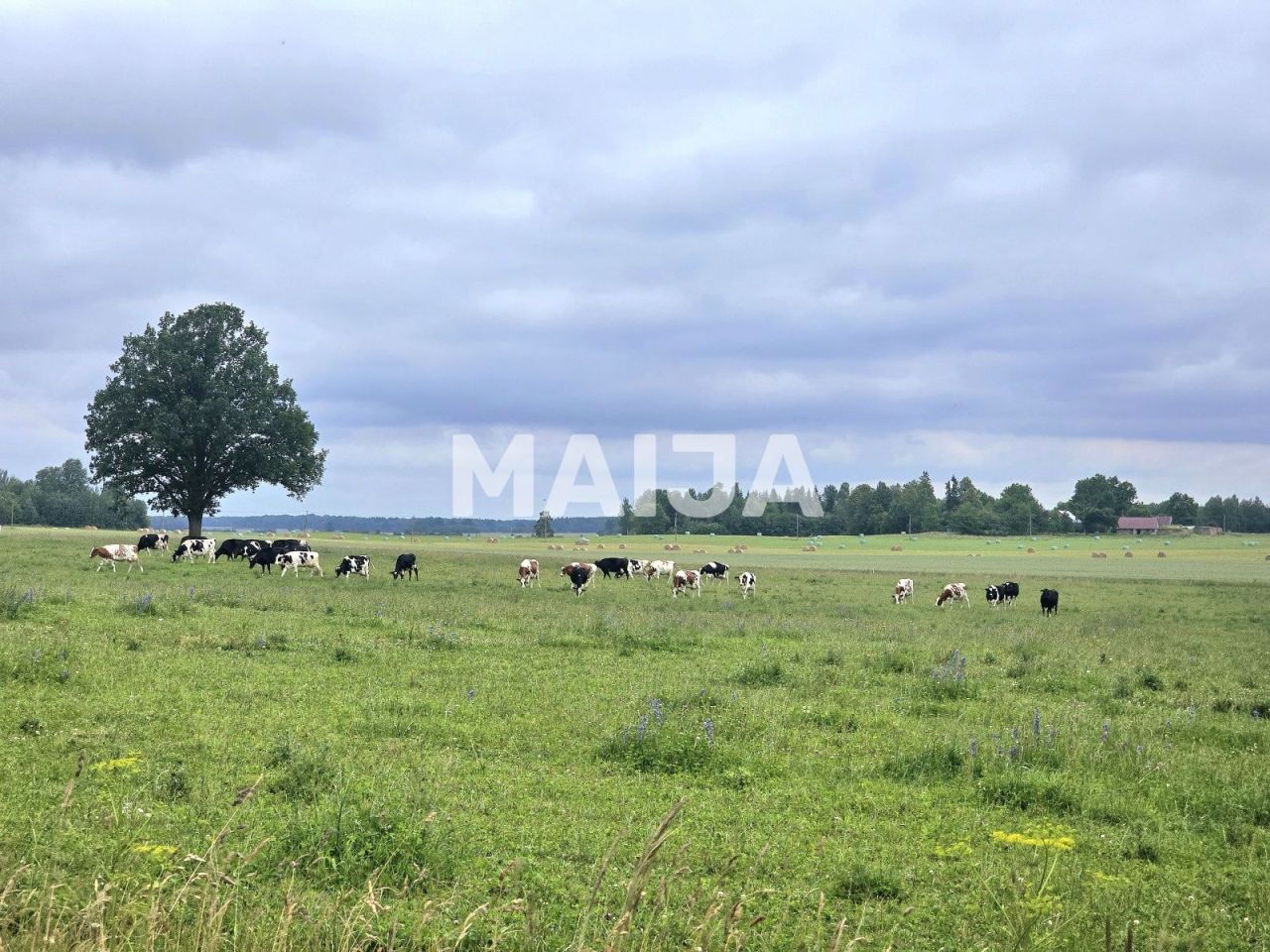 Grundstück Kabile, Lettland, 5 650 000 m² - Foto 1