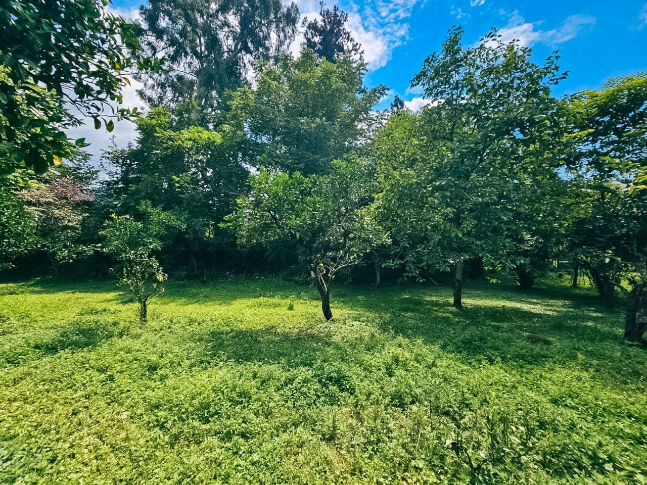 Terreno en Batumi, Georgia, 2 000 m² - imagen 2