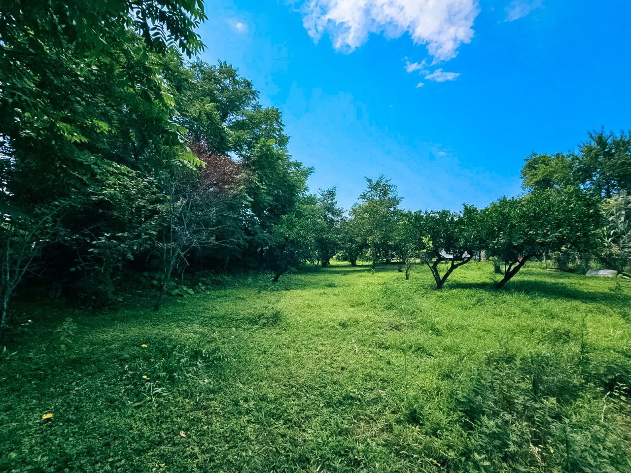 Terreno en Batumi, Georgia, 2 000 m² - imagen 4