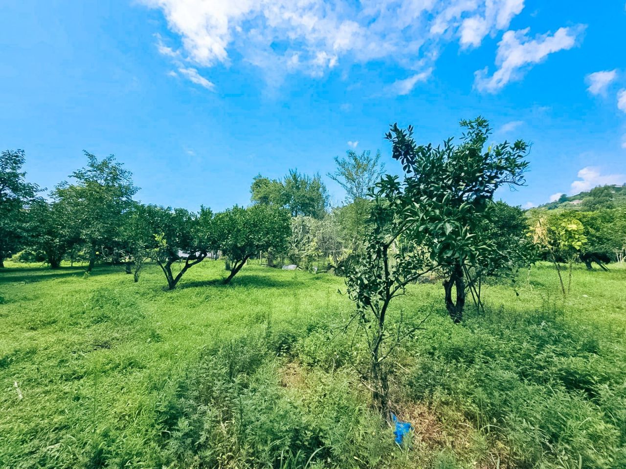 Terreno en Batumi, Georgia, 2 000 m² - imagen 3
