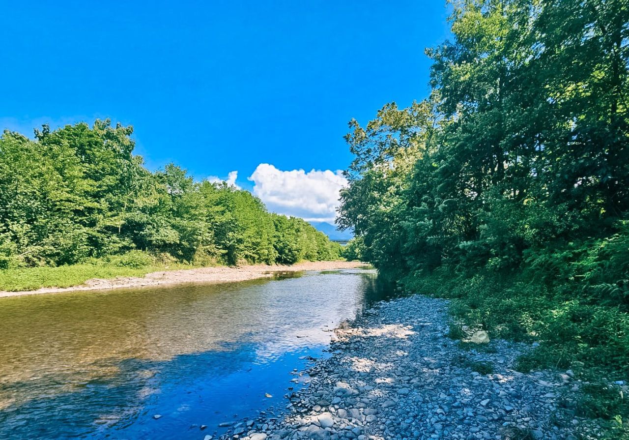 Terreno en Batumi, Georgia, 3 902 m² - imagen 5