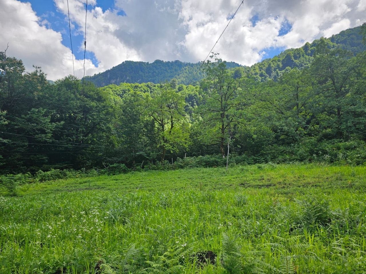 Terreno a Batumi, Georgia, 2 800 m2 - foto 6