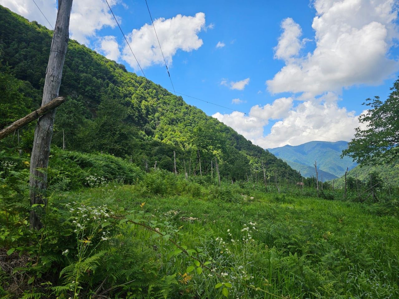 Terreno a Batumi, Georgia, 2 800 m2 - foto 2