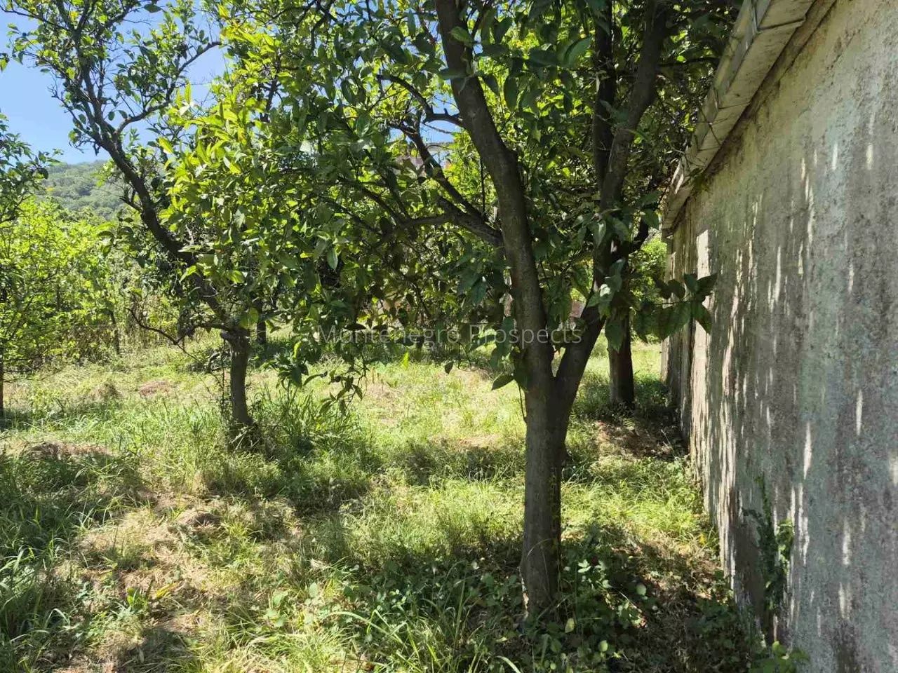 Terreno en el Bar, Montenegro, 973 m² - imagen 3