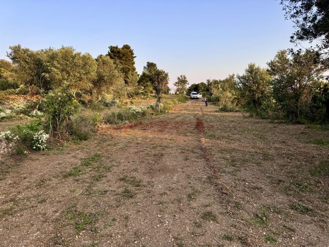 Terreno a Corfù, Grecia, 6 000 m2 - foto 3