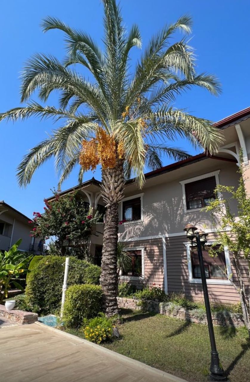 Villa en Camyuva, Turquia, 200 m² - imagen 1