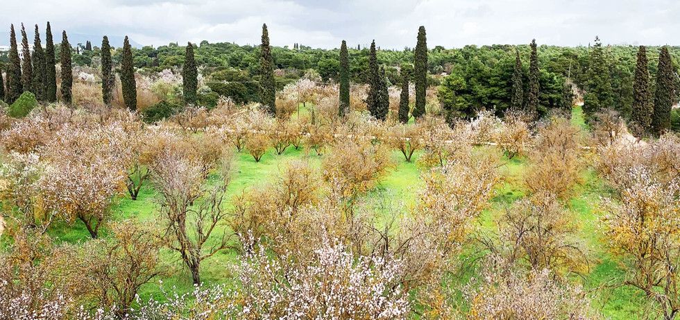 Apartamento en Atenas, Grecia, 80 m² - imagen 5