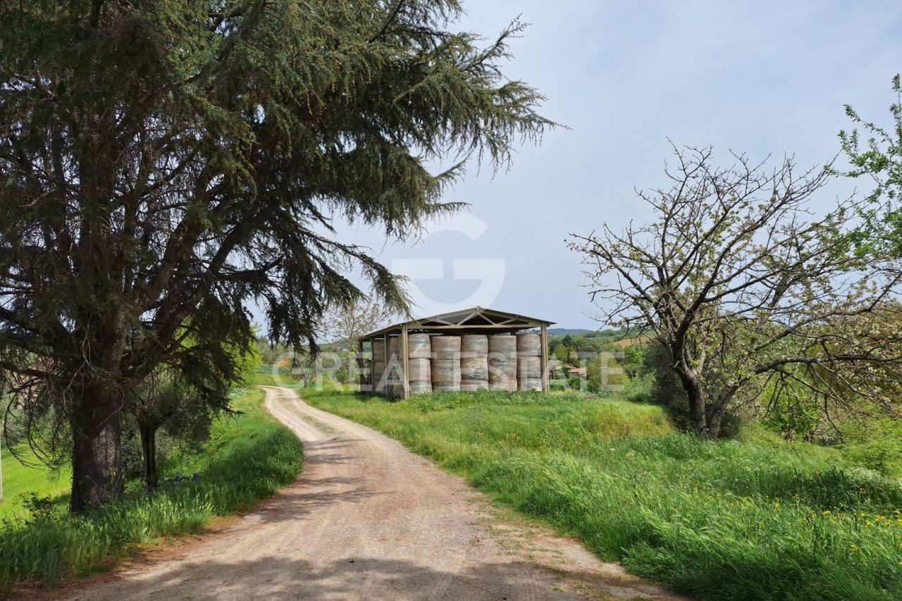 Casa en Montegabbione, Italia, 442.9 m² - imagen 4