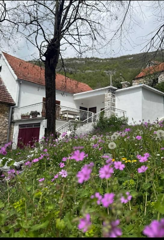 House in Niksic, Montenegro, 75 m² - picture 2