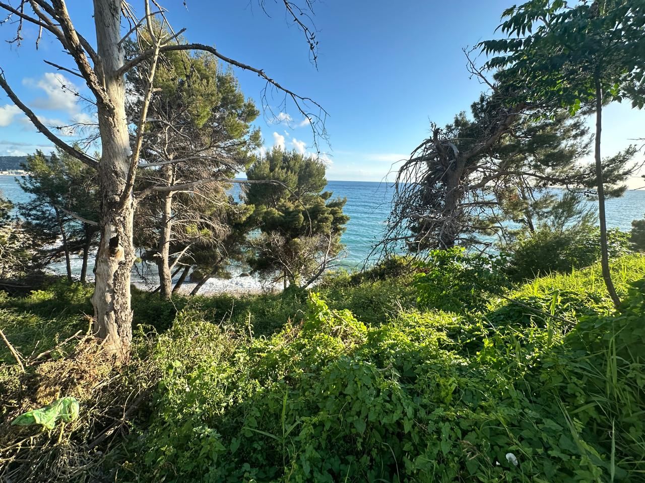 Terreno a Bar, Montenegro, 1 012 m2 - foto 2