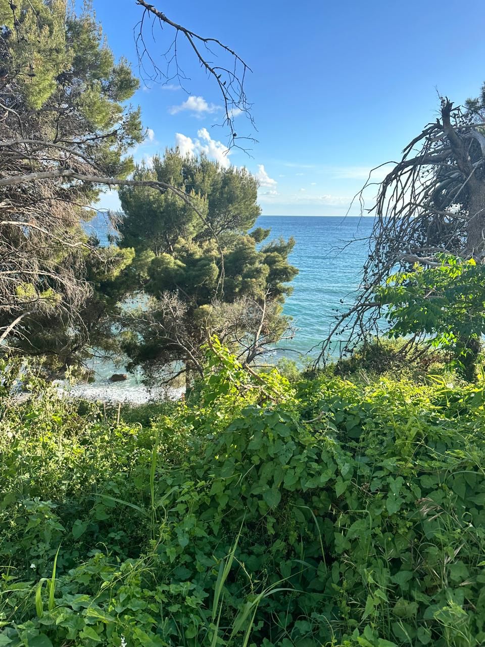 Terreno a Bar, Montenegro, 1 012 m2 - foto 3