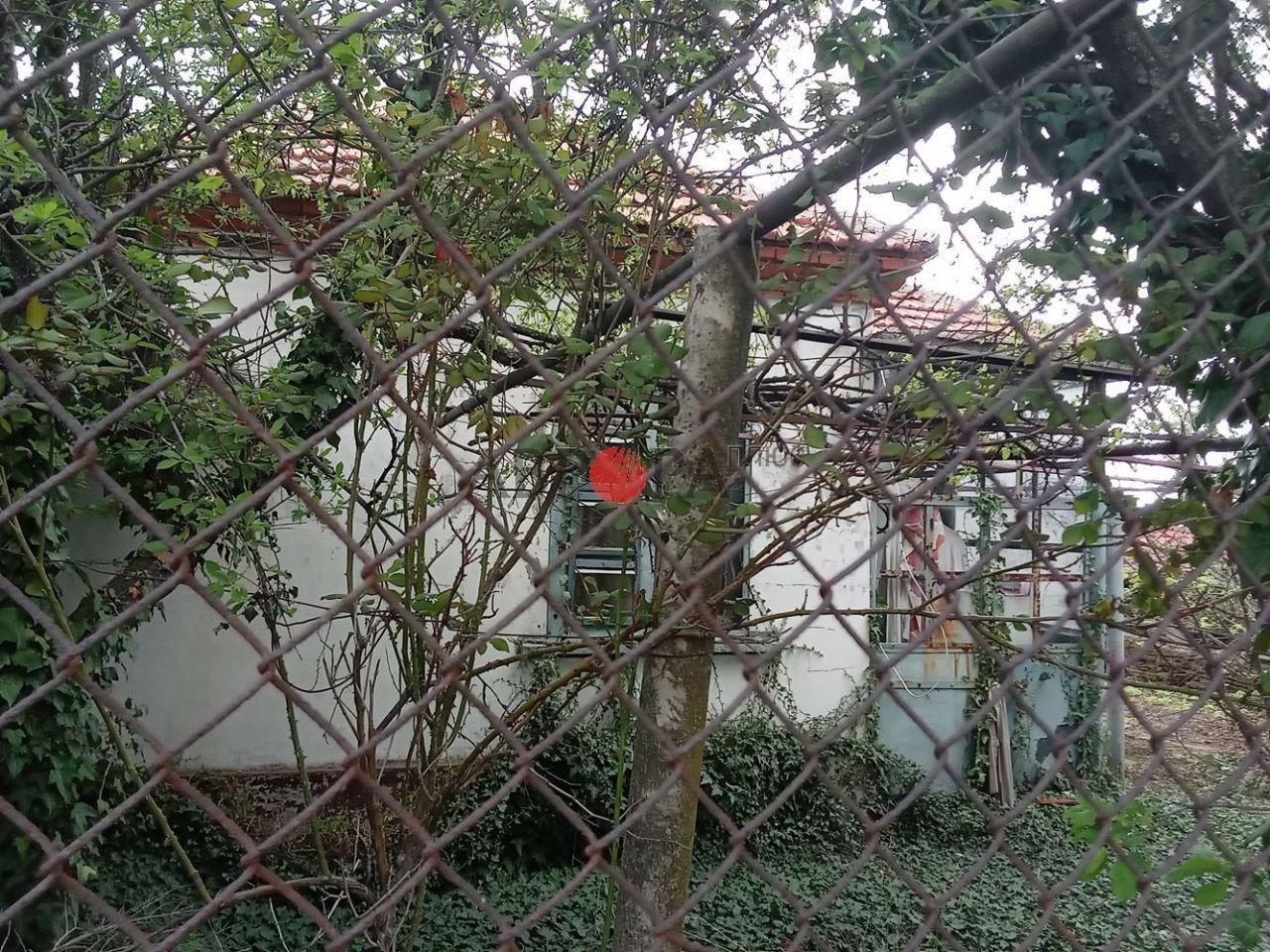 Casa a Terziysko, Bulgaria, 64 m² - foto 2