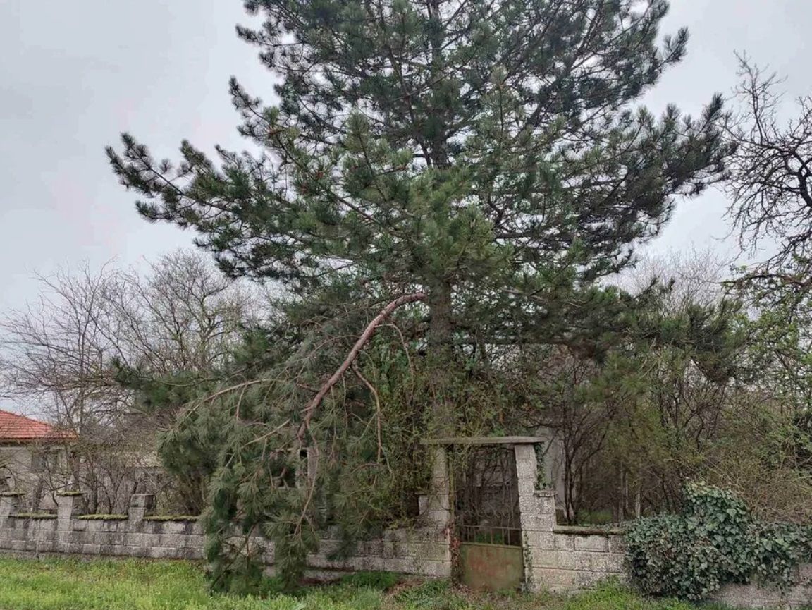 Haus in Baltschik, Bulgarien, 90 m² - Foto 5