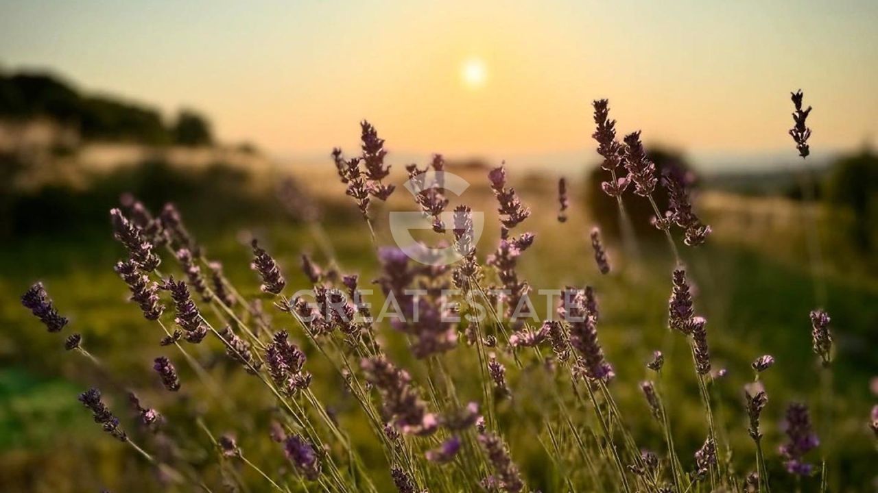 Casa en Todi, Italia, 269.25 m² - imagen 16