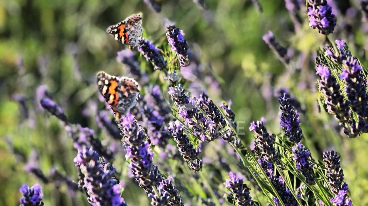 Casa en Todi, Italia, 269.25 m² - imagen 17