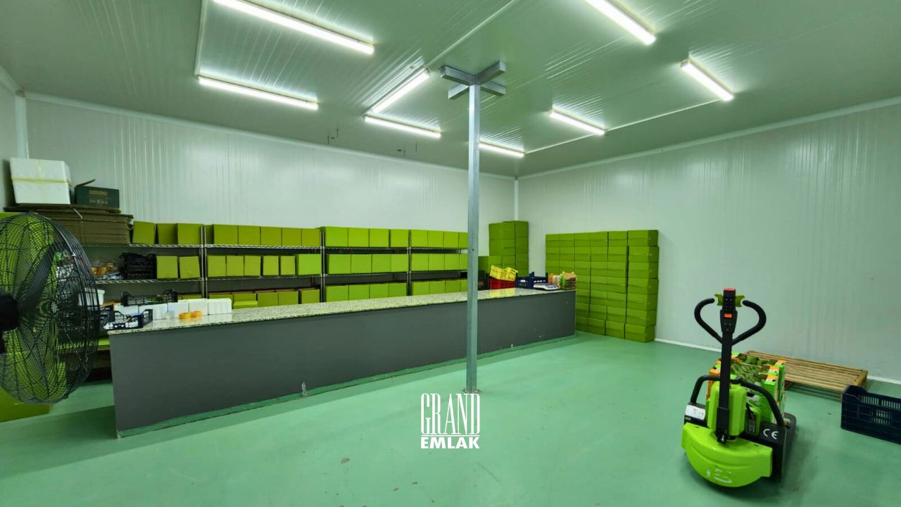 Industrial in Antalya, Turkey, 4 750 m² - picture 13