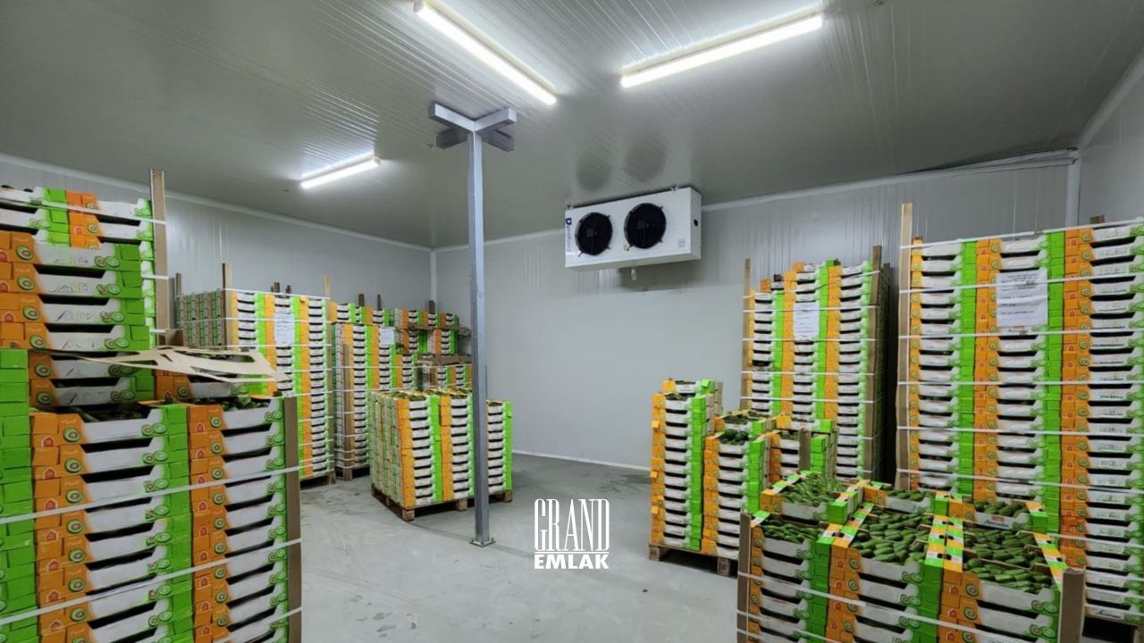 Industrial in Antalya, Turkey, 4 750 m² - picture 12