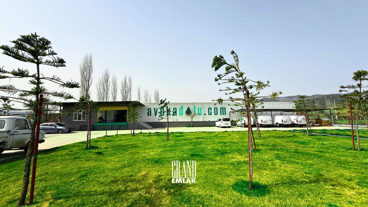 Industrial in Antalya, Turkey, 4 750 m² - picture 4