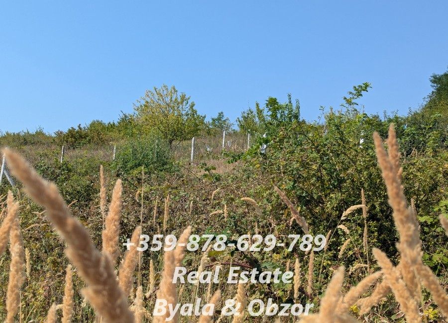 Land in Byala, Bulgaria, 2 800 m² - picture 4