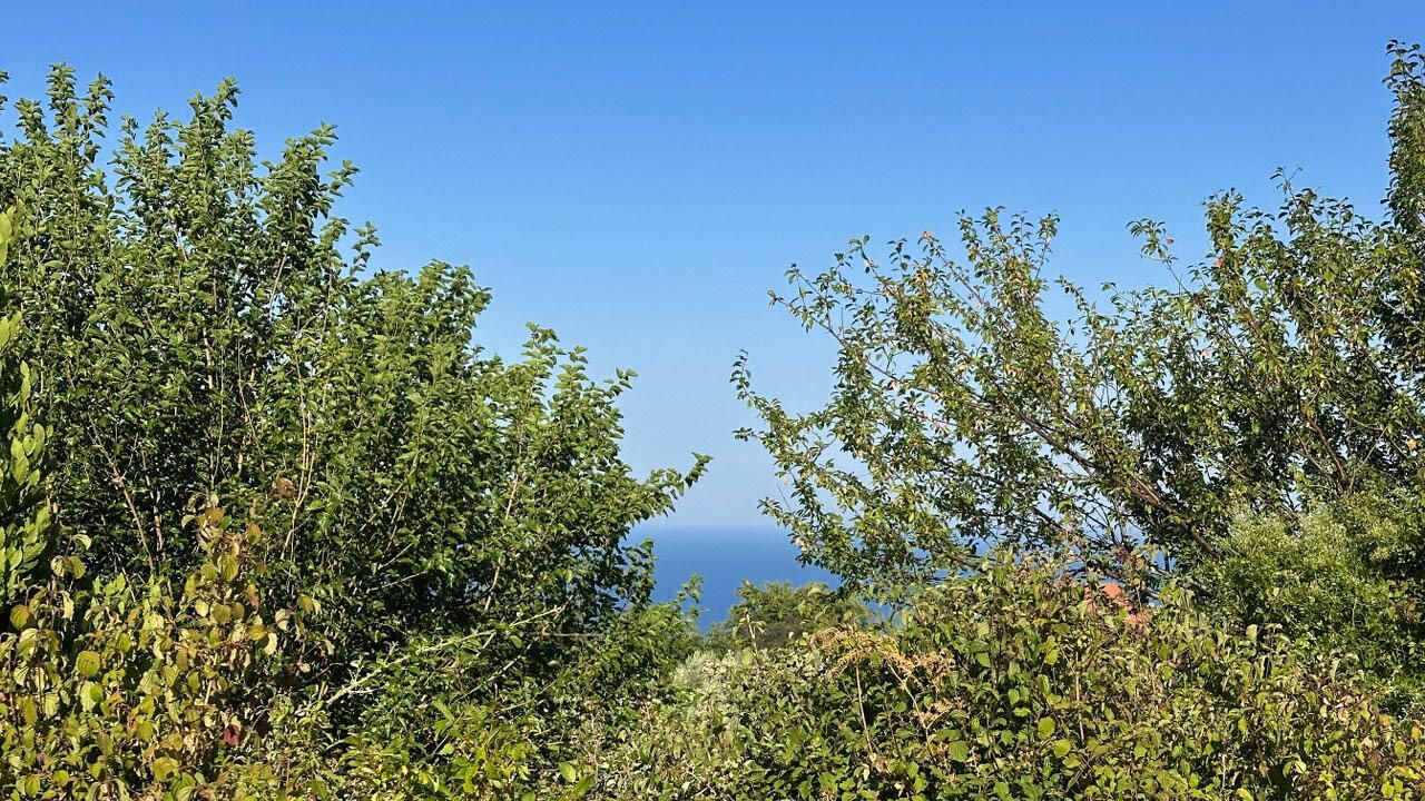 Land in Dobra Voda, Montenegro, 1 550 m² - picture 1